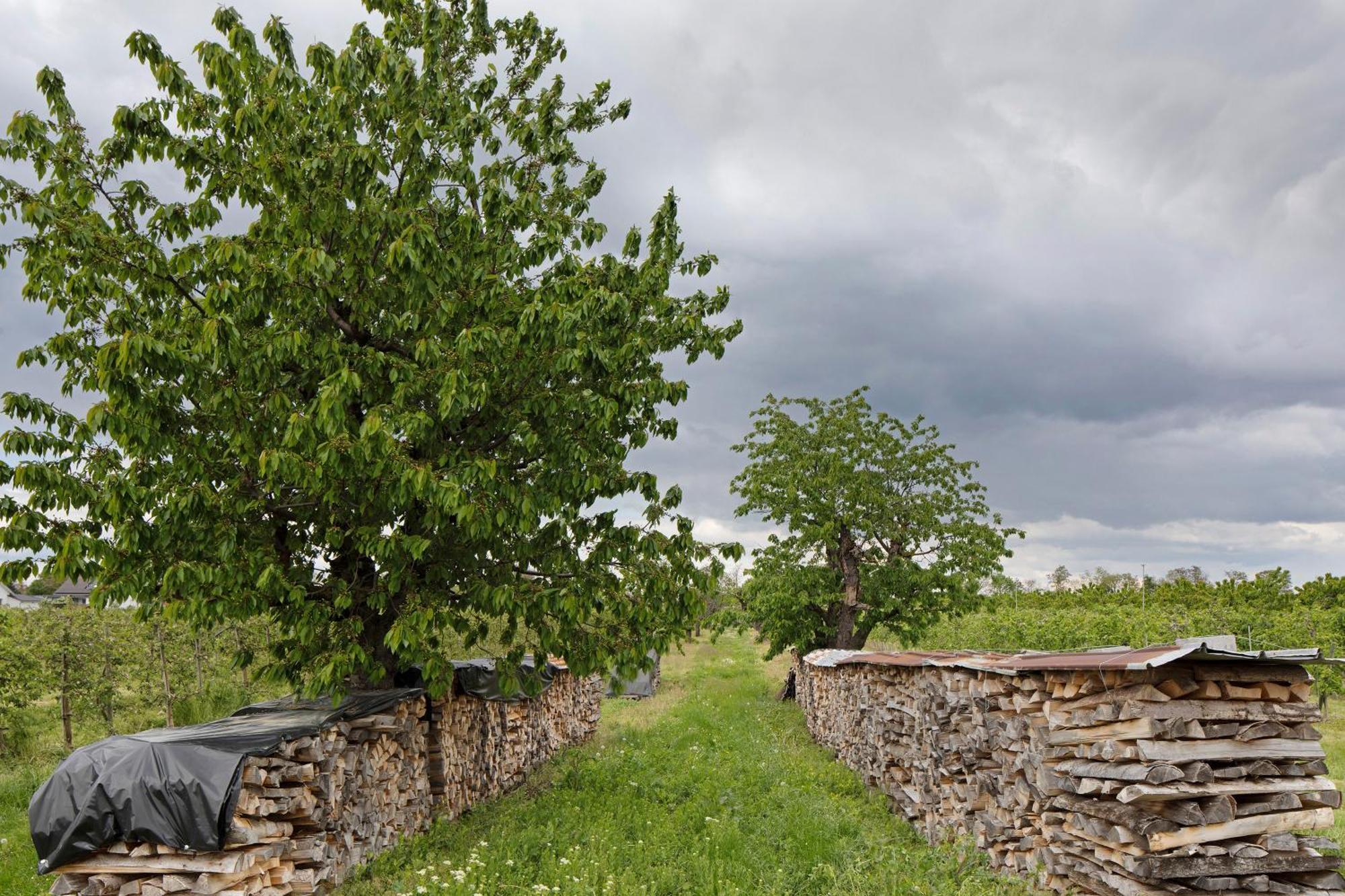 Ferienhof Schloessle Sasbach am Kaiserstuhl Exteriör bild