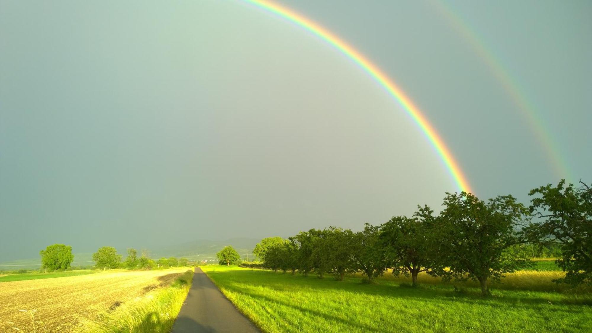 Ferienhof Schloessle Sasbach am Kaiserstuhl Exteriör bild
