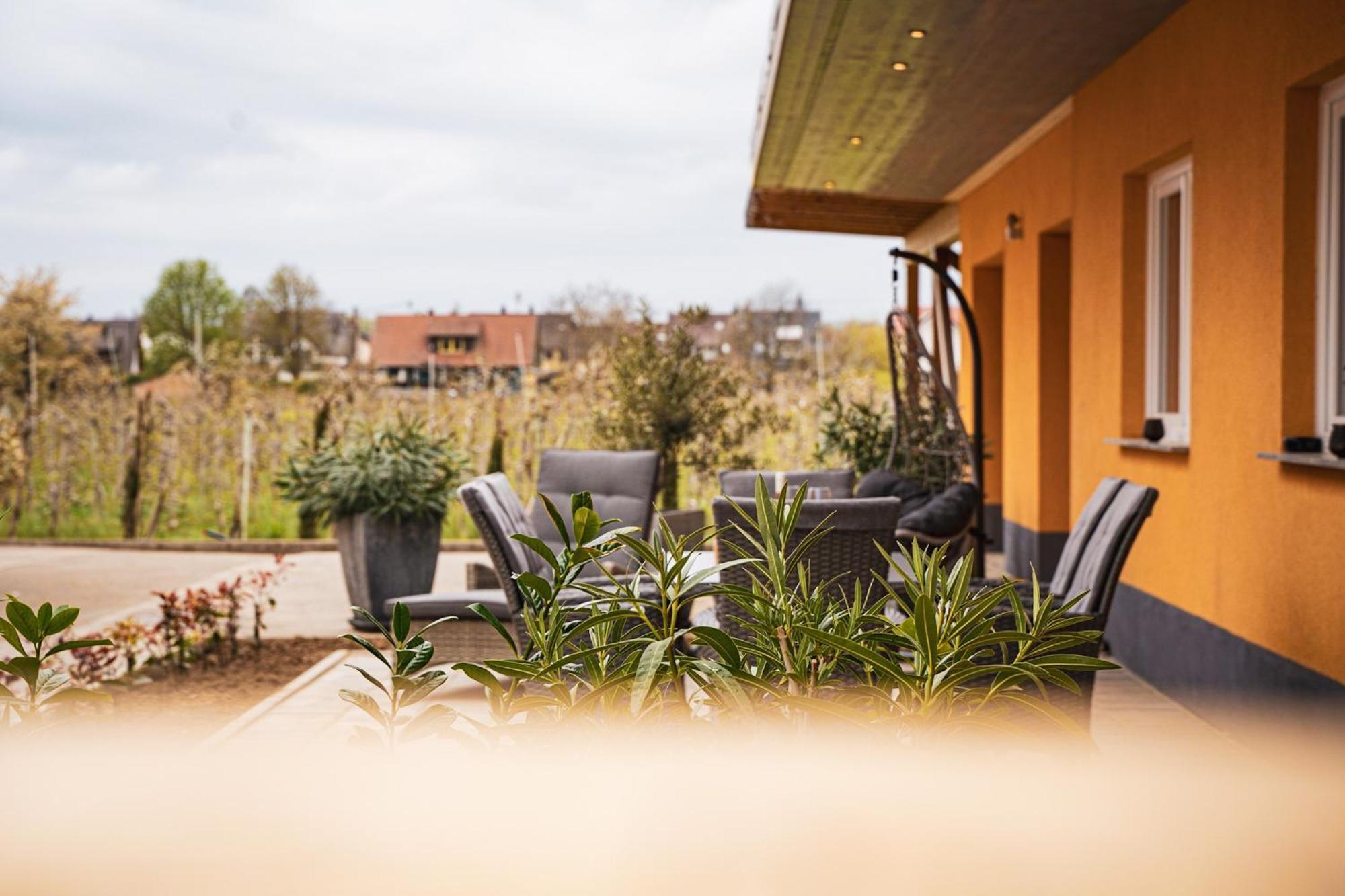 Ferienhof Schloessle Sasbach am Kaiserstuhl Exteriör bild