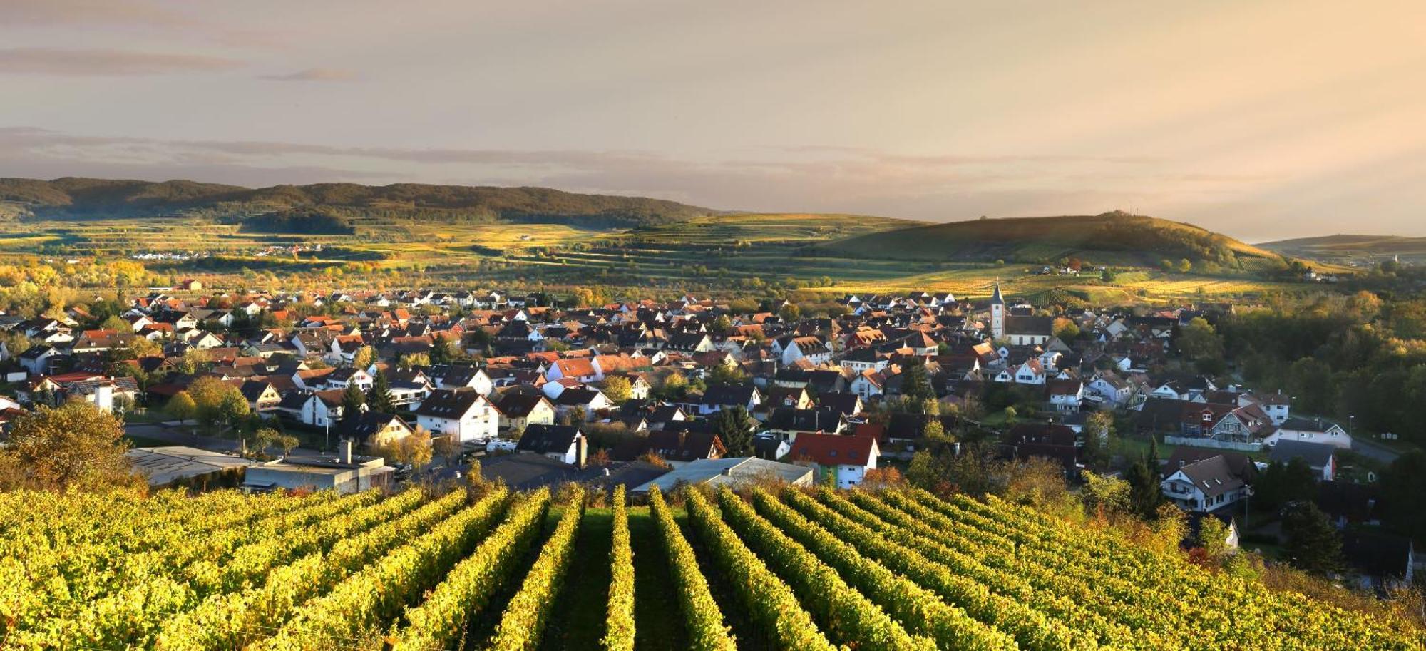 Ferienhof Schloessle Sasbach am Kaiserstuhl Exteriör bild