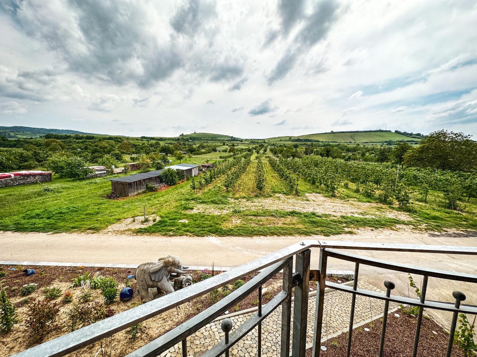 Ferienhof Schloessle Sasbach am Kaiserstuhl Exteriör bild
